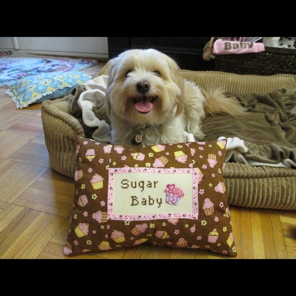 Bundle 3 dog 🐶 items for 10% off / read m… - Picture 14 of 16